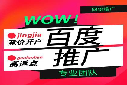 深度解析：SEM竞价优化提升ROI的案例