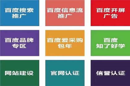 搜索引擎营销（SEM）在本地市场的投放案例